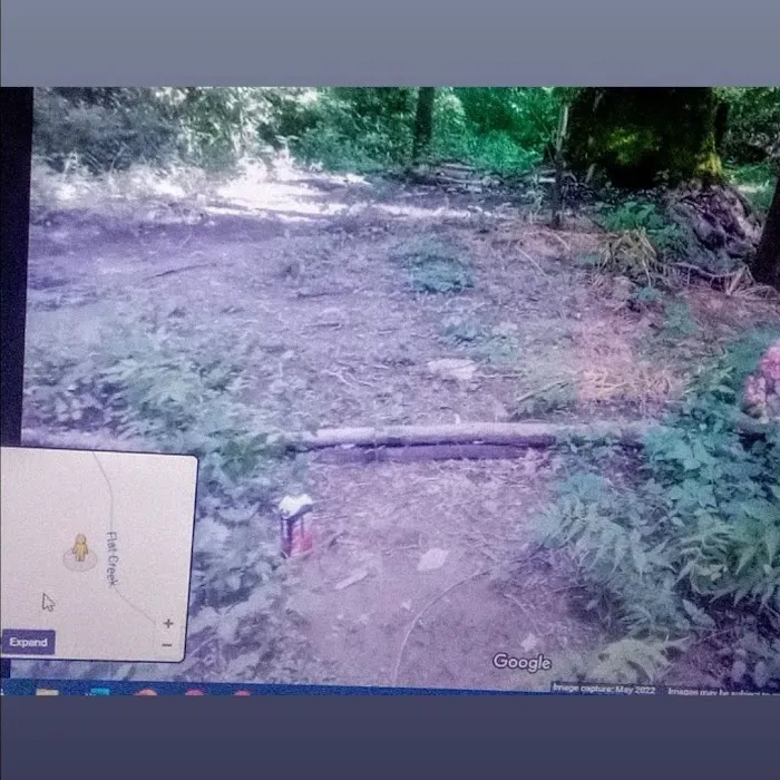 Amicalola Cabins Picture 4