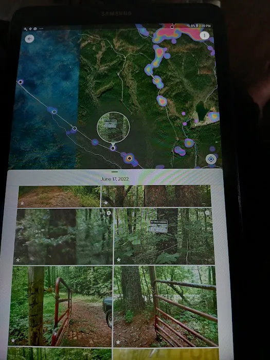 Amicalola Cabins Picture 5