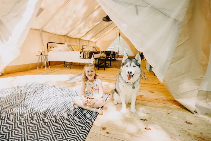 Timberline Glamping at Amicalola Falls Picture 6