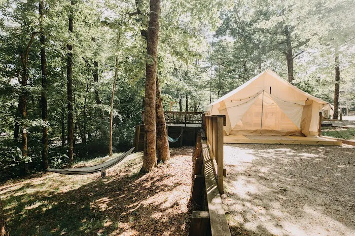 Timberline Glamping at Amicalola Falls Picture 9