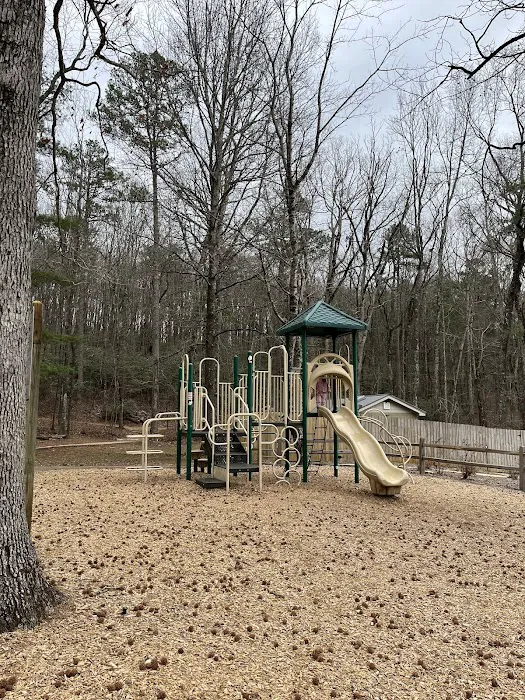 Amicalola Falls Campground Picture 3