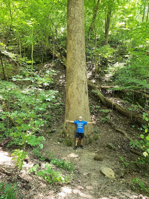 Amicalola Falls Campground Picture 10