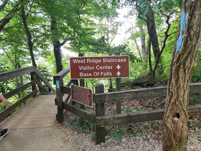 Amicalola Falls Campground Picture 9