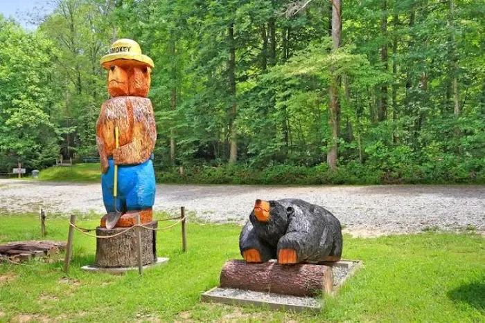 Under the Hemlock LLC Picture 1