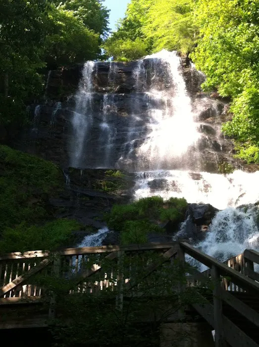 Under the Hemlock LLC Picture 2