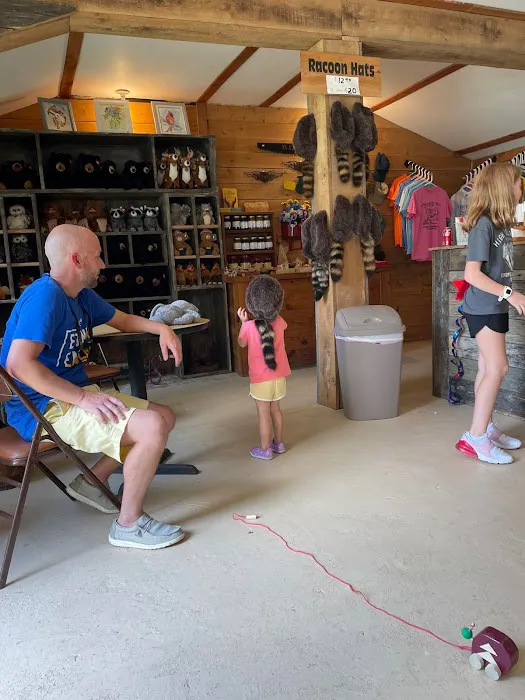 Under the Hemlock LLC Picture 6