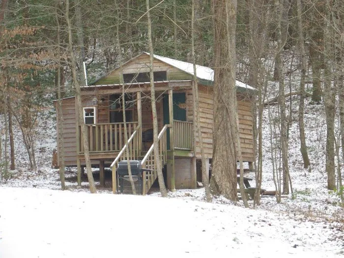 Under the Hemlock LLC Picture 7