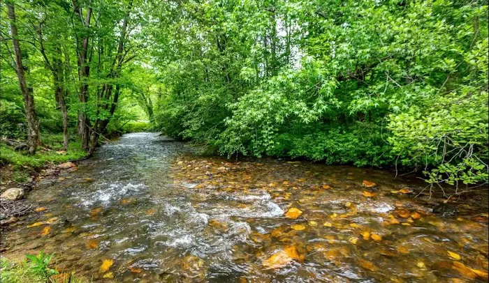 Trout Creek Lodge Picture 4