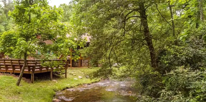 Trout Creek Lodge Picture 6