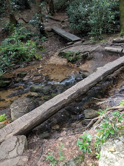 Stover Creek Shelter Picture 1