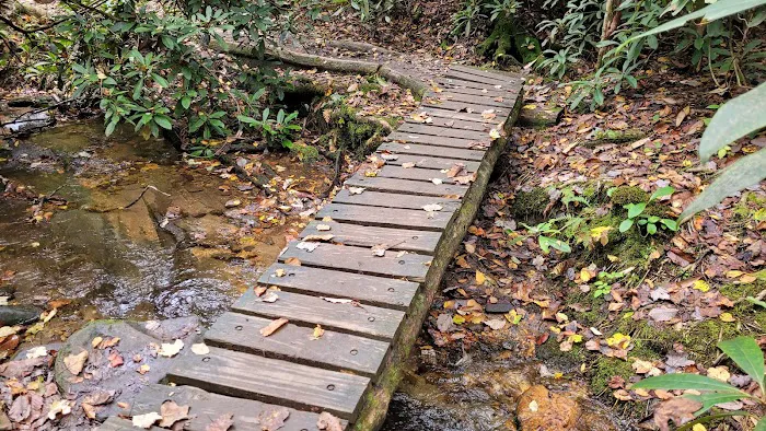 Stover Creek Shelter Picture 6