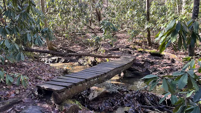 Stover Creek Shelter Picture 4