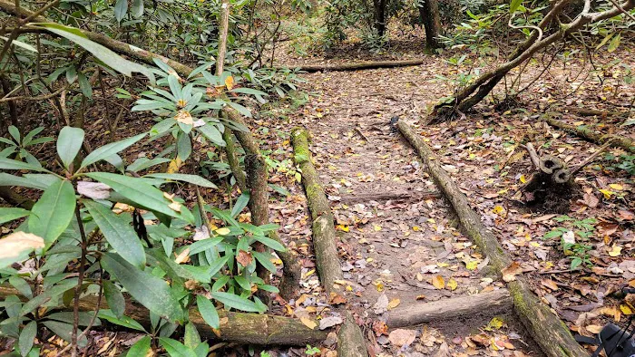 Stover Creek Shelter Picture 8