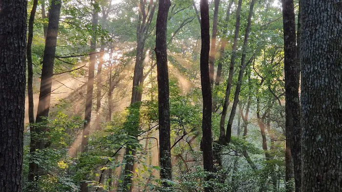 Stover Creek Shelter Picture 10