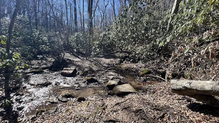 Stover Creek Shelter Picture 7