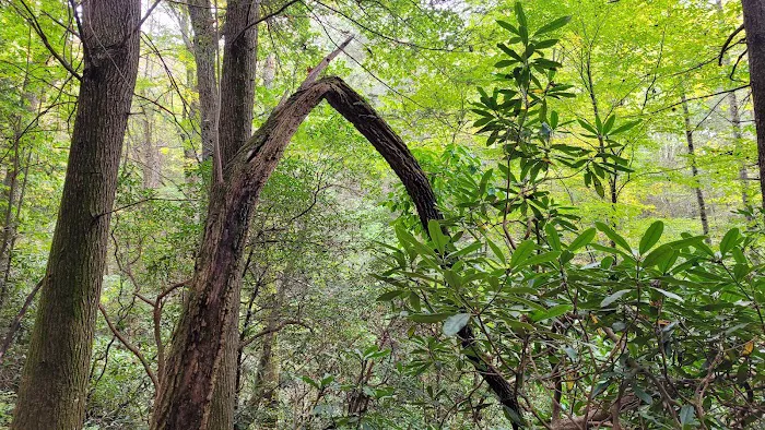 Stover Creek Shelter Picture 9