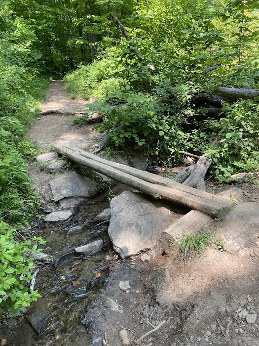Lance Creek Campsite Picture 3