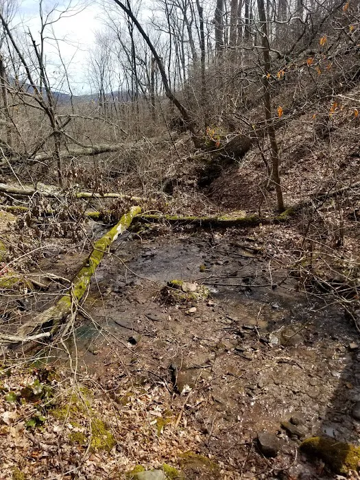 Lance Creek Campsite Picture 1