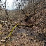 Lance Creek Campsite