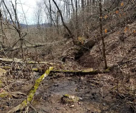 Lance Creek Campsite