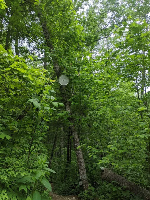 Lance Creek Campsite Picture 2