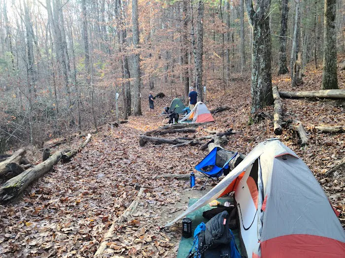 Lance Creek Campsite Picture 5