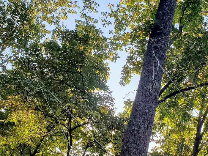 Lance Creek Campsite Picture 9