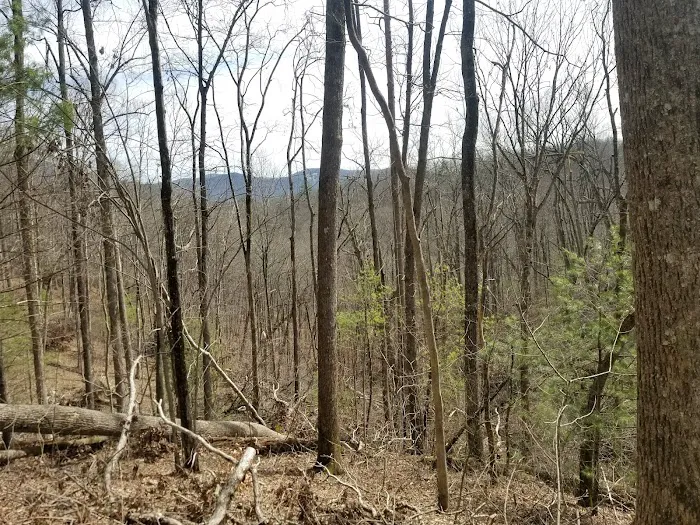 Lance Creek Campsite Picture 7