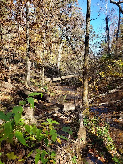 Lance Creek Campsite Picture 10