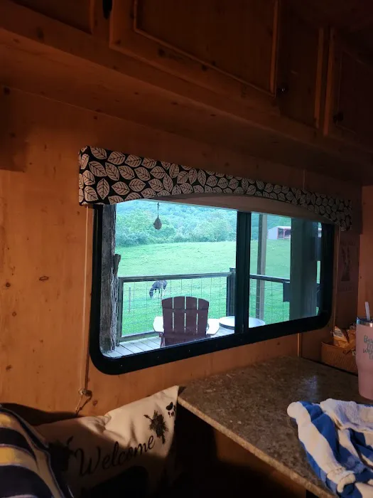 Suches Wilderness Ranch Picture 7