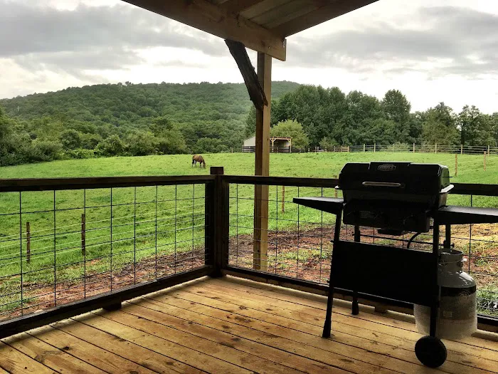 Suches Wilderness Ranch Picture 10