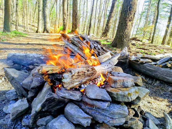 Woods Hole Shelter Picture 2