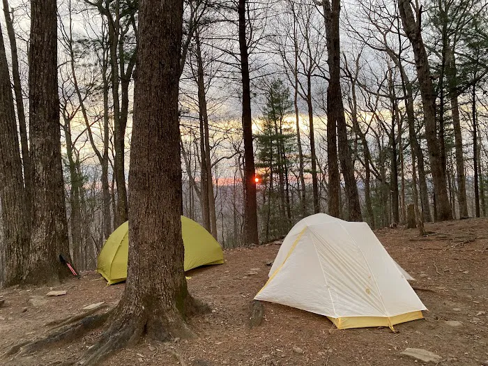 Woods Hole Shelter Picture 1