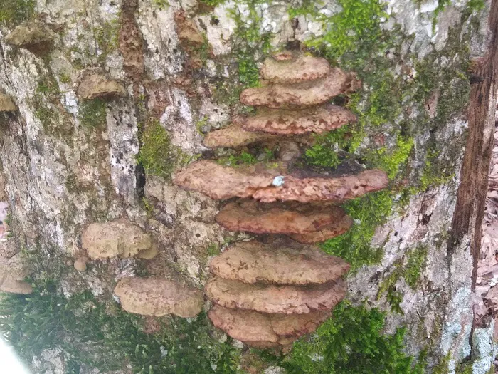 Woods Hole Shelter Picture 5