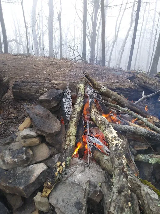 Woods Hole Shelter Picture 4
