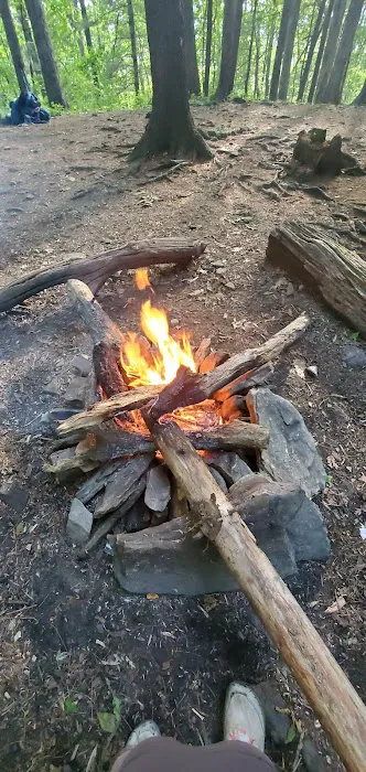 Woods Hole Shelter Picture 7