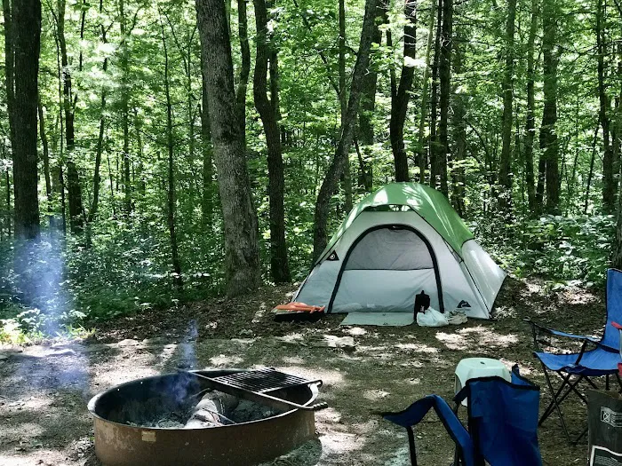 Lake Winfield Scott Recreation Area Picture 5