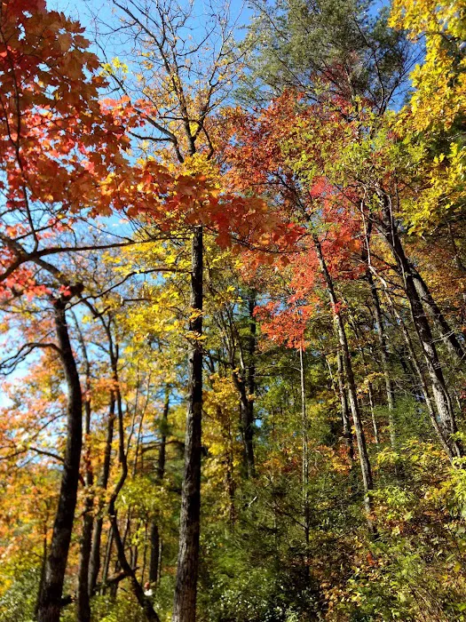 Lake Winfield Scott Recreation Area Picture 8