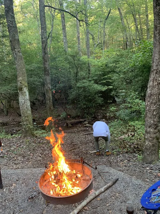 Lake Winfield Scott Recreation Area Picture 9
