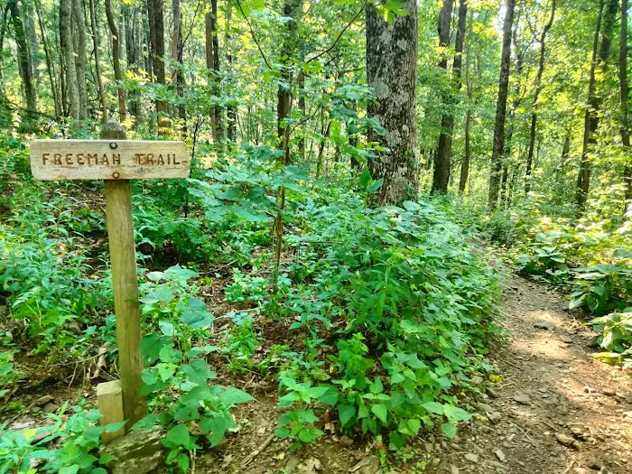 Lake Winfield Scott Recreation Area Picture 10