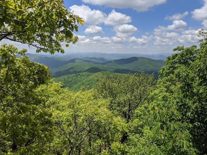 Blood Mountain Shelter Picture 2