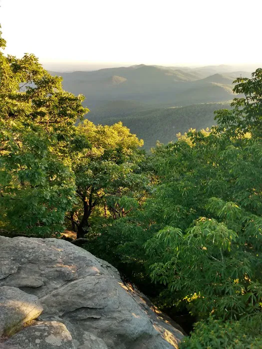 Blood Mountain Shelter Picture 1