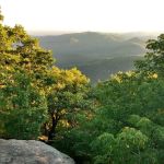Blood Mountain Shelter