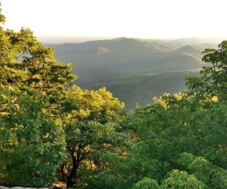 Blood Mountain Shelter