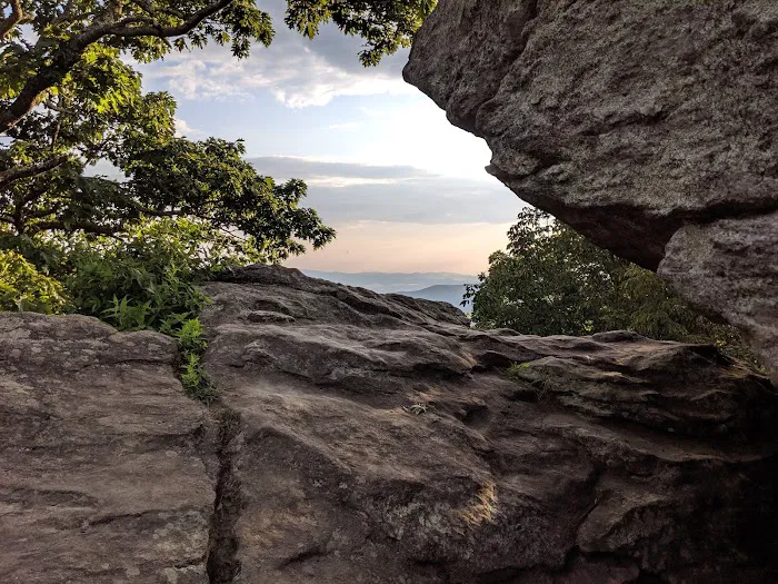 Blood Mountain Shelter Picture 6