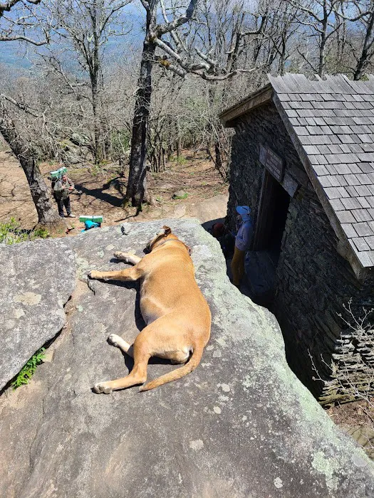 Blood Mountain Shelter Picture 9