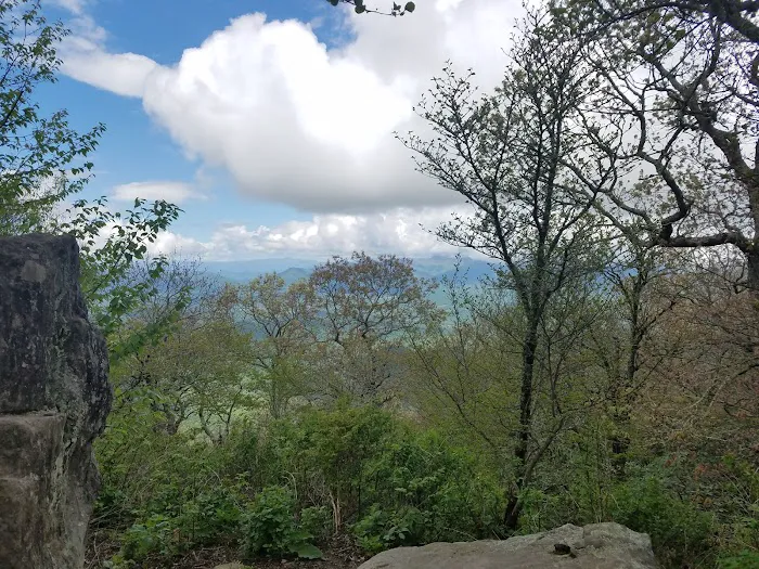 Blood Mountain Shelter Picture 10