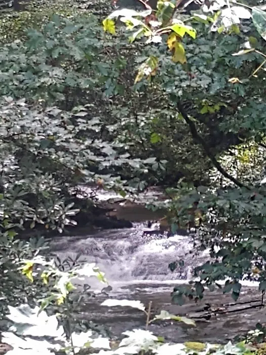 Frank Gross Recreation Area Picture 7