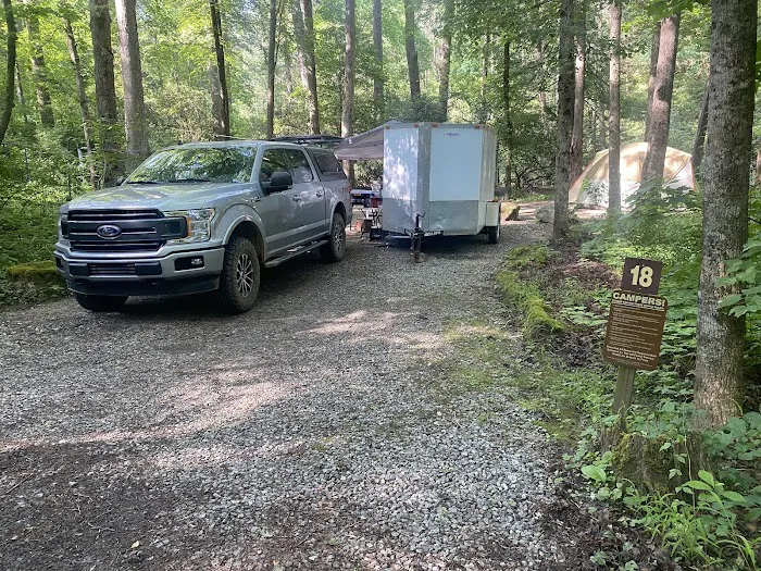 Cooper Creek USFS Campground & Recreation Area Picture 2