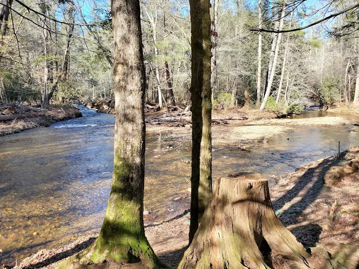 Cooper Creek USFS Campground & Recreation Area Picture 3